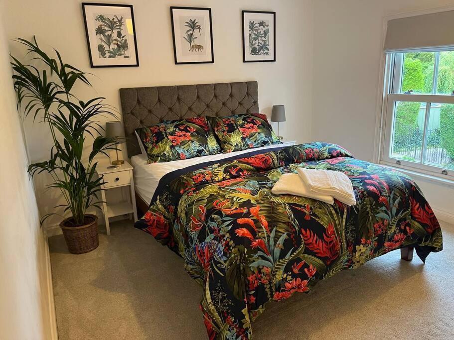 Chic 2 Bedroom Cottage 윌햄 외부 사진